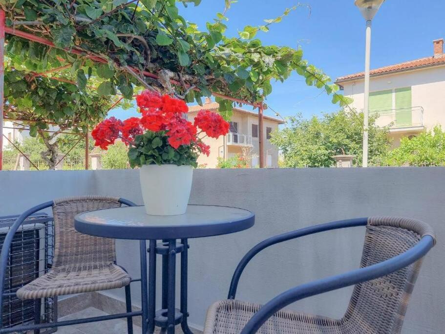 Appartement App Racy à Umag Extérieur photo